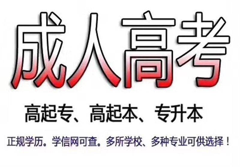 教育行业的创新风向标——西培教育引领未来趋势